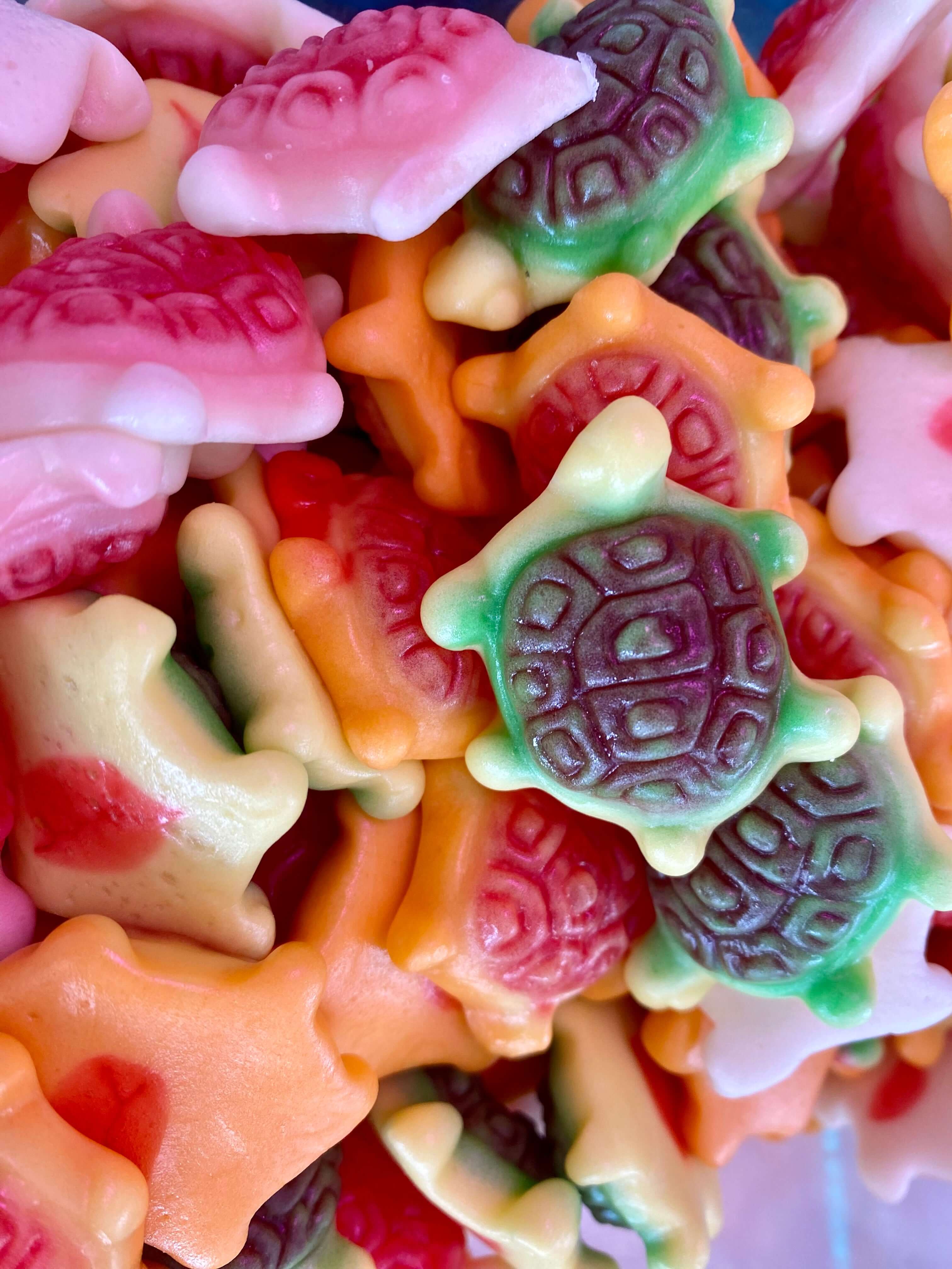 gummy candy turtles swedish candy store